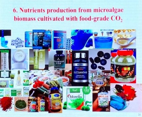 科技賦能碳中和 微藻減排燃煤電廠二氧化碳并聯產生物產品