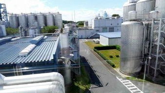 VR虛擬現(xiàn)實(shí)技術(shù) 重塑工業(yè)、建筑安全與生物科技的革新實(shí)踐